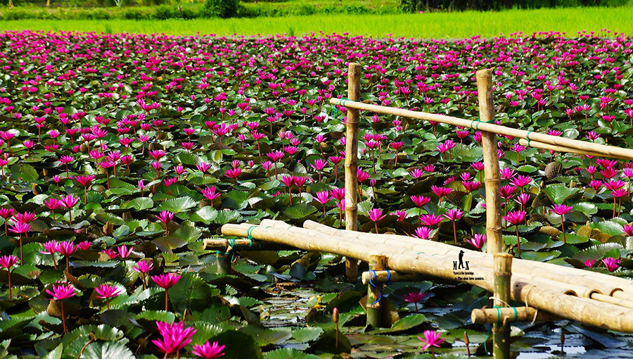 โลเคชั่นถ่ายพรีเวดดิ้ง , สถานที่ถ่ายพรีเวดดิ้ง , Pre Wedding Venue